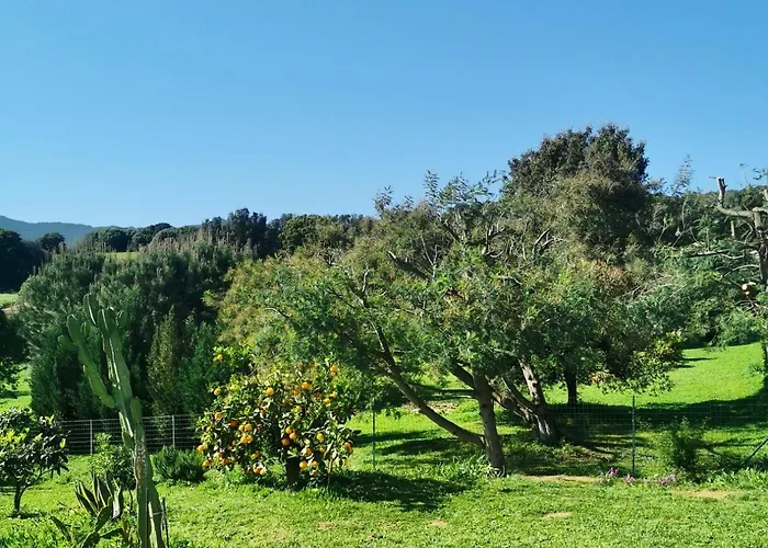La Resia Peri
